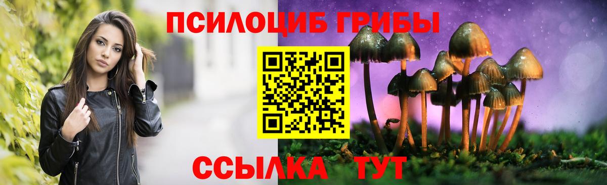 Псилоцибиновые грибы GOLDEN TEACHER Губаха